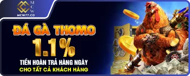 Đá Gà Thomo 1.1% Tiền Hoàn Trả Hằng Ngày Cho Tất Cả Khách Hàng